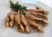 refectoriumboquerones