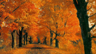 autunno_e