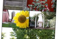 Nate And Liz Wedding | The Olde Farmhouse B&amp;b | Marshall, Mi