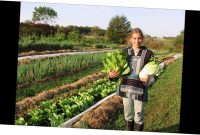 Small Scale Farming - Youtube