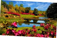 Spring Desktop Wallpaper Screensaver (56+ Images)
